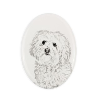 Bolończyk płyta nagrobna ze zdjęciem psa Art-Dog