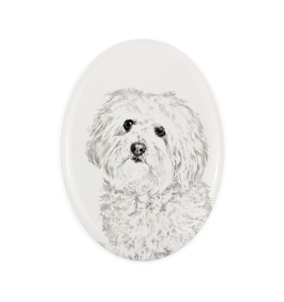 Bichon bolonais, Bolognese - une plaque commémorative avec une photo de chien, une plaque funéraire avec une impression, une plaque ovale personnalisée de la marque Art-Dog