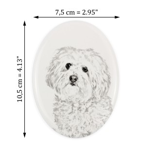 Bichon bolonais, Bolognese - une plaque commémorative avec une photo de chien, une plaque funéraire avec une impression, une plaque ovale personnalisée de la marque Art-Dog