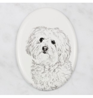 Bolończyk płyta nagrobna ze zdjęciem psa Art-Dog