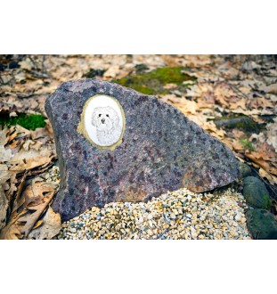 Bologneser, Bichon Bolognese - Gedenktafel mit einem Foto eines Hundes, Grabplatte mit Druck, personalisierte ovale Platte der Marke Art-Dog