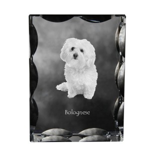 Bolończyk ramka kryształowa z psem Art-Dog