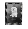 Bichon bolonais, Bolognese - cristal avec photo de chien, statuette en verre avec photo, cadre exceptionnel avec photo de la marque Art-Dog