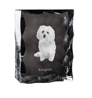 Bolończyk ramka kryształowa z psem Art-Dog