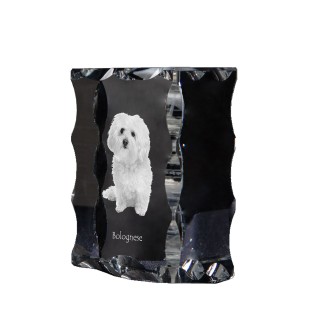 Bichon bolonais, Bolognese - cristal avec photo de chien, statuette en verre avec photo, cadre exceptionnel avec photo de la marque Art-Dog