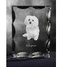 Bologneser, Bichon Bolognese - Kristall mit einem Hundebild, Glasstatuette mit einem Bild, einzigartiger Bilderrahmen der Marke Art-Dog