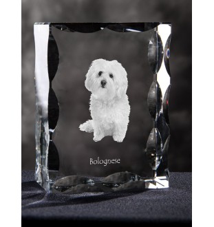 Bolończyk ramka kryształowa z psem Art-Dog