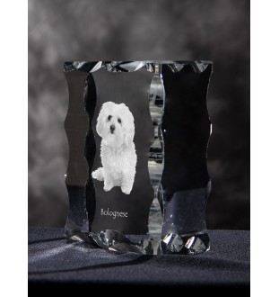 Bichon bolonais, Bolognese - cristal avec photo de chien, statuette en verre avec photo, cadre exceptionnel avec photo de la marque Art-Dog