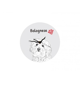 Bichon bolonais, Bolognese - horloge murale avec chien, horloge de table avec impression, décoration personnalisée de la maison de la marque Art-Dog