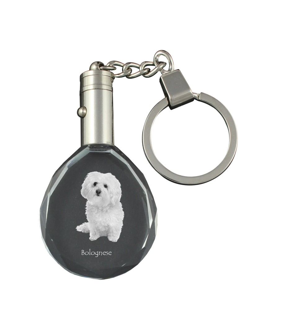 Bichon Bolognese, Bolo, Botoli, Bottolo - pendant with a photo of a dog, crystal key ring in a gift box, a unique gift by Art-Dog