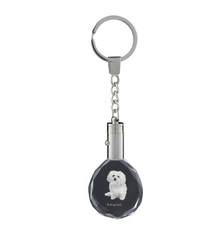 Bichon Bolognese, Bolo, Botoli, Bottolo - pendant with a photo of a dog, crystal key ring in a gift box, a unique gift by Art-Dog