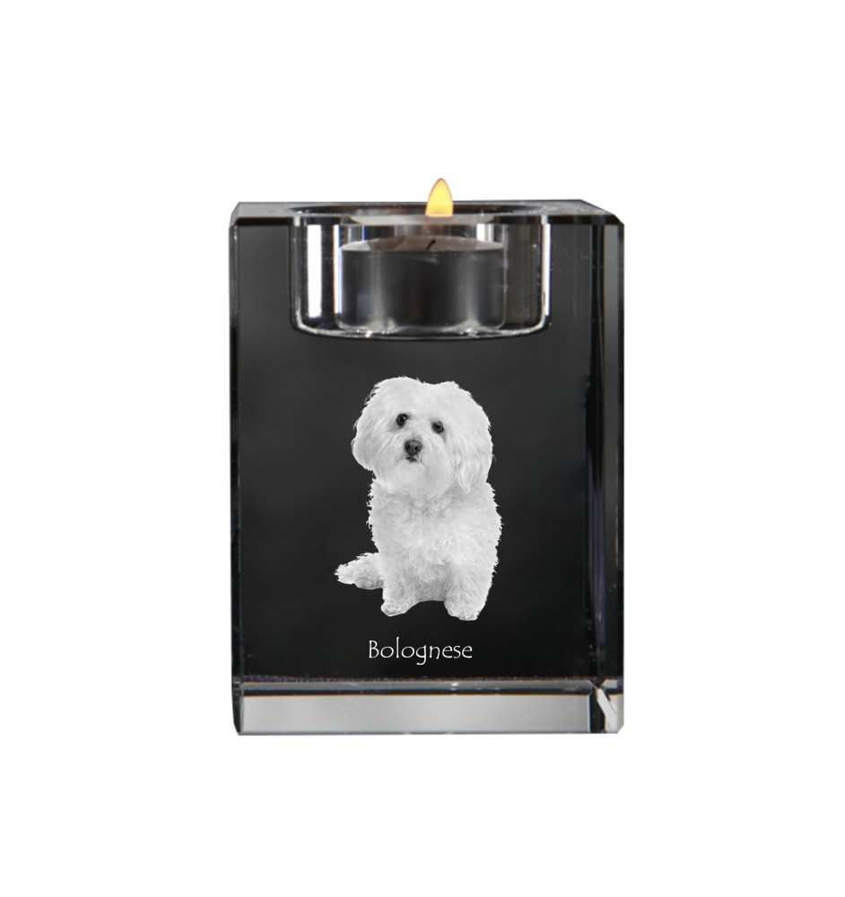 Bichon bolonais, Bolognese - Bougeoir avec photo de chien, porte bougie en cristal, cadeau personnalisé par la marque Art-Dog