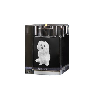 Bichon bolonais, Bolognese - Bougeoir avec photo de chien, porte bougie en cristal, cadeau personnalisé par la marque Art-Dog