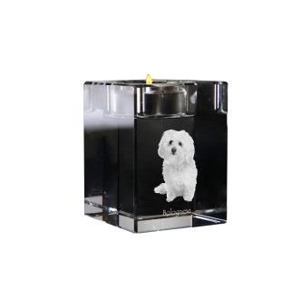 Bichon bolonais, Bolognese - Bougeoir avec photo de chien, porte bougie en cristal, cadeau personnalisé par la marque Art-Dog