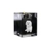 Bologneser, Bichon Bolognese - Kerzenhalter mit Hundefoto, Teelichthalter aus Kristall, personalisiertes Geschenk der Marke Art-Dog