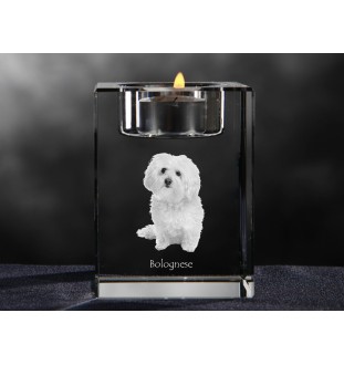 Bichon Bolognese, Bolo, Botoli, Bottolo - Candle holder with dog photo, crystal tealight holder, personalised gift by Art-Dog brand