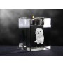 Bologneser, Bichon Bolognese - Kerzenhalter mit Hundefoto, Teelichthalter aus Kristall, personalisiertes Geschenk der Marke Art-Dog