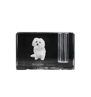 Bichon Bolognese, Bolo, Botoli, Bottolo - Pen stand, crystal organiser with dog photo, unique desk decoration by Art-Dog brand