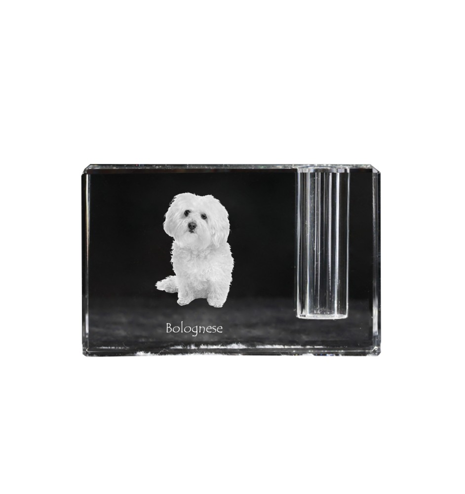 Bichon Bolognese, Bolo, Botoli, Bottolo - Pen stand, crystal organiser with dog photo, unique desk decoration by Art-Dog brand