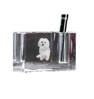 Bologneser, Bichon Bolognese - Stifthalter, Kristallorganizer mit Hundefoto, einzigartige Schreibtischdekoration der Marke Art-Dog