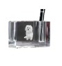 Bichon bolonais, Bolognese - Porte-stylos, organiseur en cristal avec photo de chien, décoration de bureau unique par la marque Art-Dog