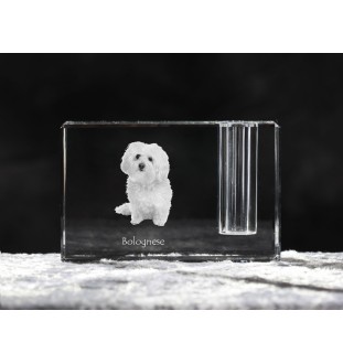 Bologneser, Bichon Bolognese - Stifthalter, Kristallorganizer mit Hundefoto, einzigartige Schreibtischdekoration der Marke Art-Dog
