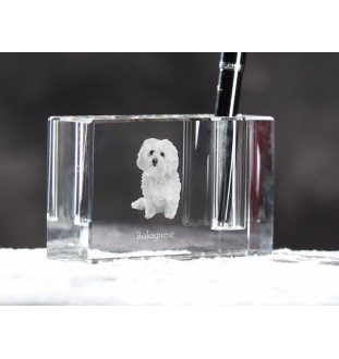 Bologneser, Bichon Bolognese - Stifthalter, Kristallorganizer mit Hundefoto, einzigartige Schreibtischdekoration der Marke Art-Dog
