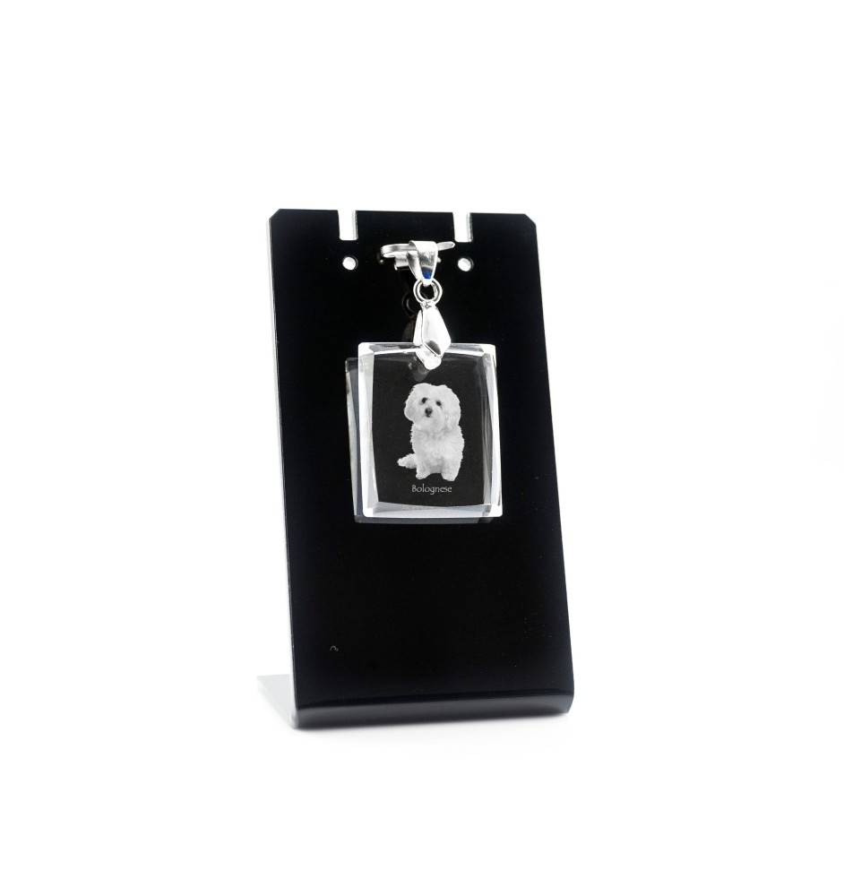Bichon bolonais, Bolognese - Pendentif chien en cristal, collier photo, bijoux uniques par Art-Dog
