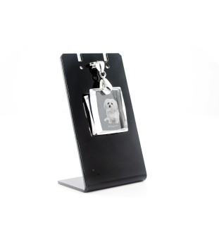 Bologneser, Bichon Bolognese - Kristallanhänger für Hunde, Foto-Halskette, einzigartiger Schmuck von Art-Dog