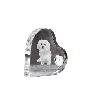 Bichon bolonais, Bolognese - horloge en cristal avec une photo de chien, horloge de table en forme de cœur, horloge debout personnalisée de la marque Art-Dog