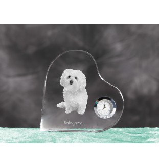 Bologneser, Bichon Bolognese - Kristalluhr mit einem Hundebild, Herzregal-Uhr, personalisierte Standuhr der Marke Art-Dog