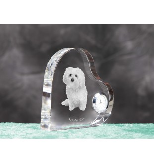 Bichon Bolognese, Bolo, Botoli, Bottolo - crystal clock with a dog picture, heart-shaped shelf clock, personalized standing clock by Art-Dog brand