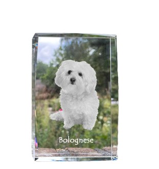 Bolończyk kryształ z psem Art-Dog