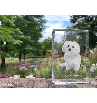 Bolończyk kryształ z psem Art-Dog