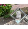 Bichon bolonais, Bolognese - un cube de cristal avec une photo, une photo de cheval dans le cristal, un presse-papiers cubique de la marque Art-Dog