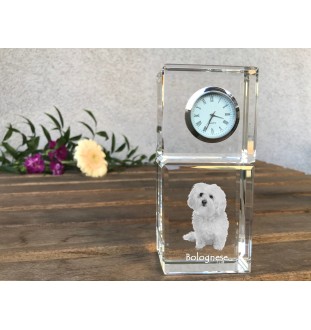 Bichon Bolognese, Bolo, Botoli, Bottolo - crystal clock with a photo, a photo of a dog in crystal, personalized desk clock by Art-Dog brand