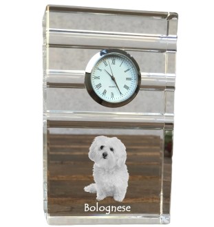Bichon Bolognese, Bolo, Botoli, Bottolo - glass clock with a photo, photo of a dog in crystal, personalized standing office clock by Art-Dog brand