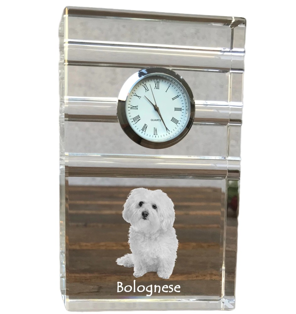 Bichon Bolognese, Bolo, Botoli, Bottolo - glass clock with a photo, photo of a dog in crystal, personalized standing office clock by Art-Dog brand