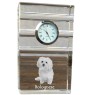 Bichon Bolognese, Bolo, Botoli, Bottolo - glass clock with a photo, photo of a dog in crystal, personalized standing office clock by Art-Dog brand