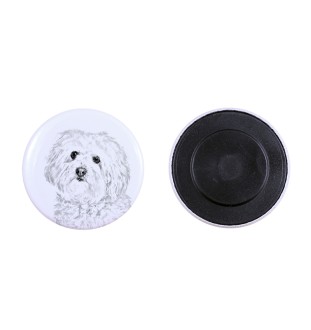 Bichon bolonais, Bolognese - aimant avec un œil de chien, exceptionnellement léger, aimant puissant, produit fabriqué à la main par la marque Art-Dog