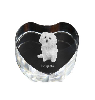 Bologneser, Bichon Bolognese - Hundebild im Kristall, Kristallherz, einzigartiger Bilderrahmen der Marke Art-Dog