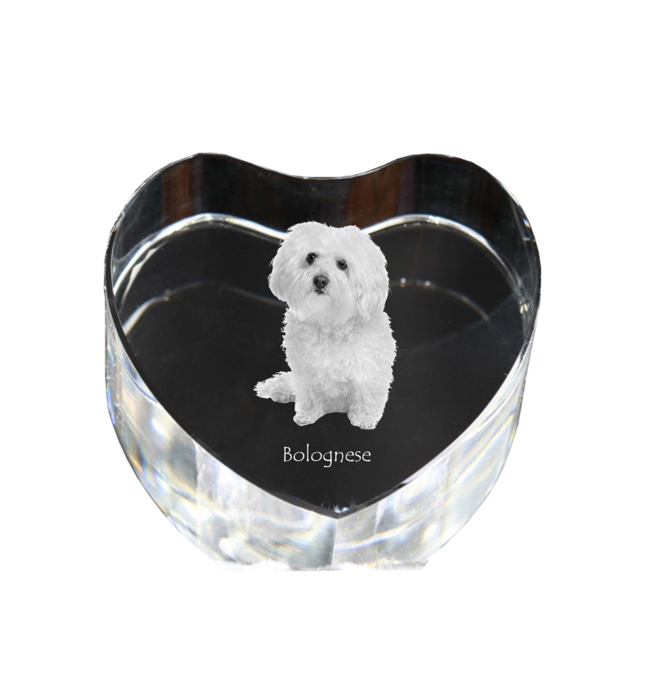 Bichon Bolognese, Bolo, Botoli, Bottolo - a photo of a dog in crystal, crystal heart, unique photo frame from the Art-Dog brand