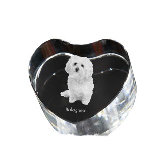 Bichon bolonais, Bolognese - une photo de chien dans un cristal, un cœur en cristal, un cadre photo exceptionnel de la marque Art-Dog