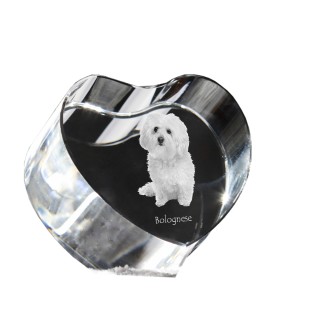 Bologneser, Bichon Bolognese - Hundebild im Kristall, Kristallherz, einzigartiger Bilderrahmen der Marke Art-Dog