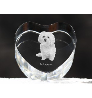 Bologneser, Bichon Bolognese - Hundebild im Kristall, Kristallherz, einzigartiger Bilderrahmen der Marke Art-Dog