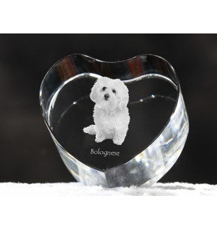 Bolończyk serce kryształowe z psem Art-Dog