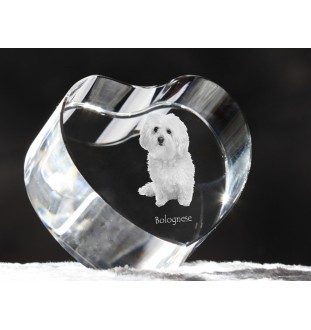 Bichon bolonais, Bolognese - une photo de chien dans un cristal, un cœur en cristal, un cadre photo exceptionnel de la marque Art-Dog