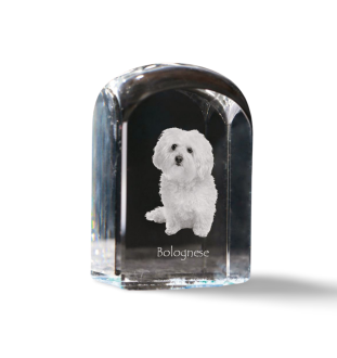Bichon bolonais, Bolognese - un cube de cristal avec une photo, une photo de chien dans le cristal, un presse-papiers cubique de la marque Art-Dog