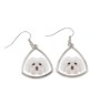 Bichon bolonais, Bolognese - boucles d'oreilles avec une photo et un motif de chien géométrique Art-Dog