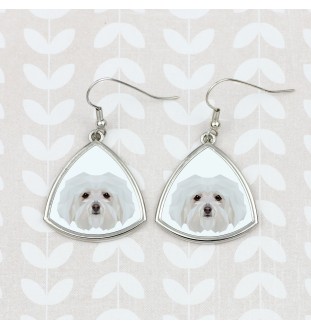 Bichon bolonais, Bolognese - boucles d'oreilles avec une photo et un motif de chien géométrique Art-Dog